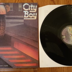 City Boy, The day the earth caught fire. Vinyl LP