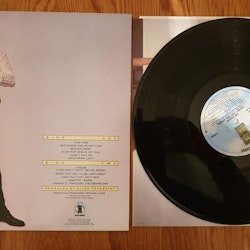 Joe Cocker, Luxuary you can afford. Vinyl LP