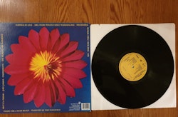 B-52s, Bouncing of the satellites. Vinyl LP