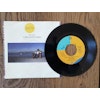 Jeff Lynne, Every little thing. Vinyl S