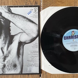 Peter Hammill, The future now. Vinyl LP