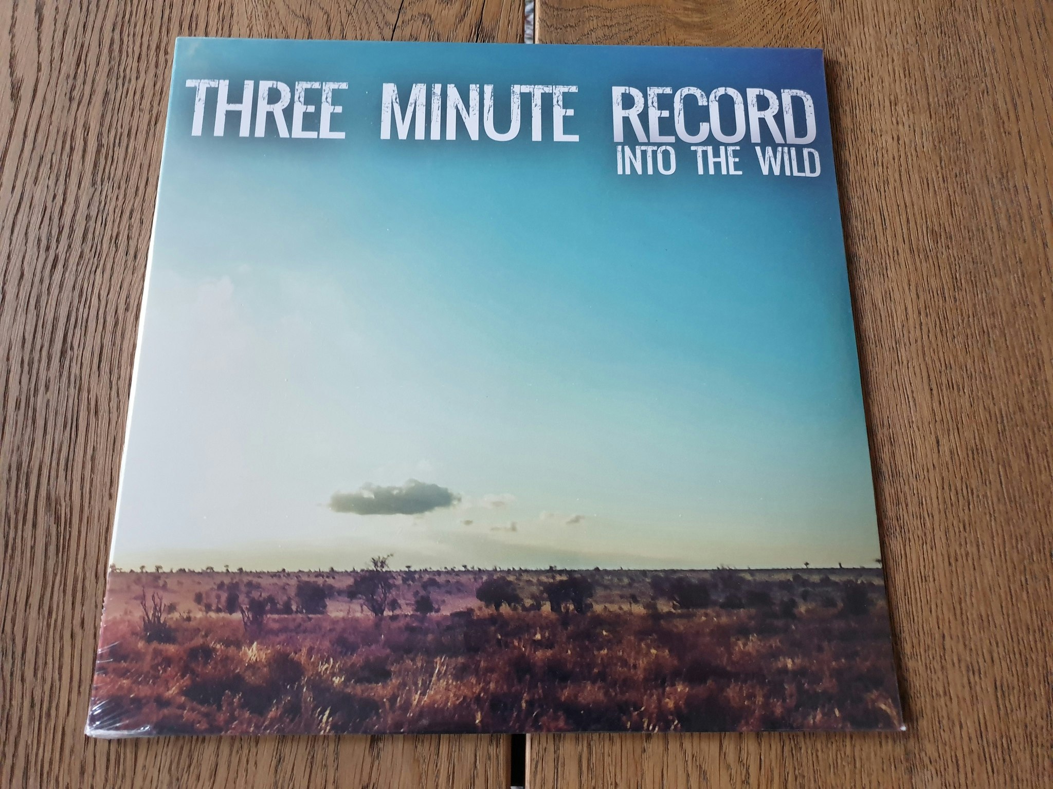 Three minute record, Into the wild. Vinyl LP Vinyl Market