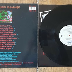 The Icicle Works, Permanent Damage. Vinyl LP