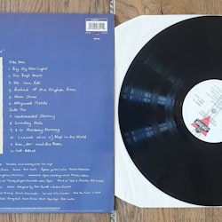 Martin Stephenson and The Daintees, The boys heart. Vinyl LP