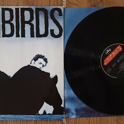 Rainbirds, Rainbirds. Vinyl LP