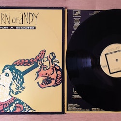 Return of Andy, Fool for a second. Vinyl LP