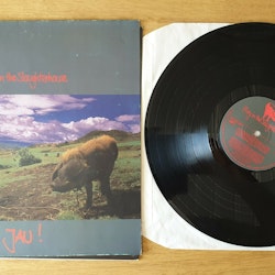 Fury in the slaughterhouse, Jau. Vinyl LP