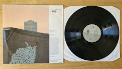 Martha & The Muffins, This is the ice age. Vinyl LP