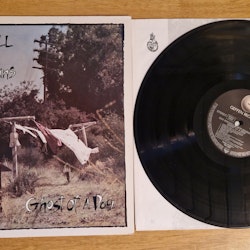 Edie Brickell & New Bohemians, Ghost of a dog. Vinyl LP§