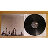 Edie Brickell & New Bohemians, Ghost of a dog. Vinyl LP§