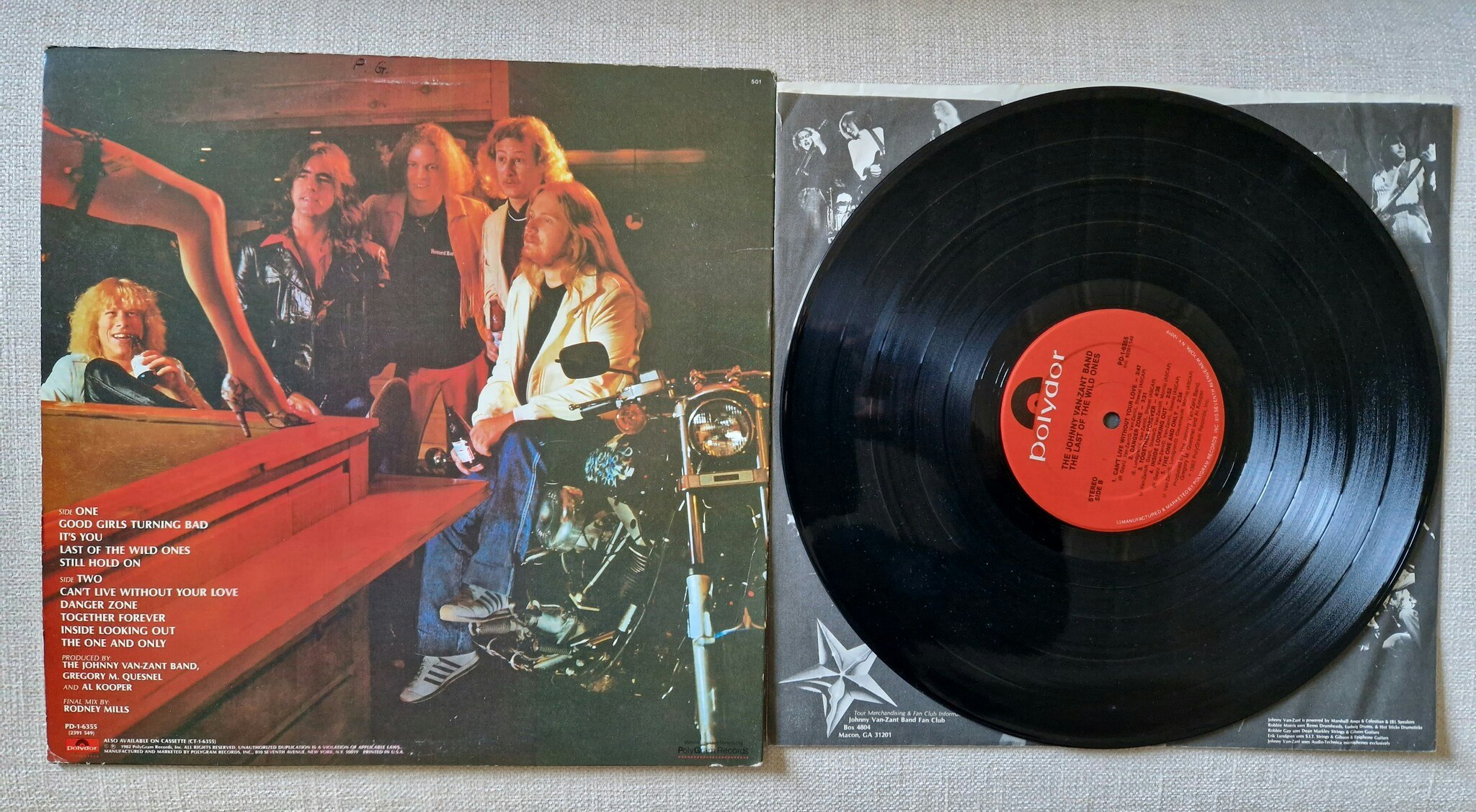 The Johnny Van-Zant Band, The last of the wild ones. Vinyl LP