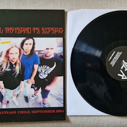 Slayer, Monsters of Rock. Vinyl LP