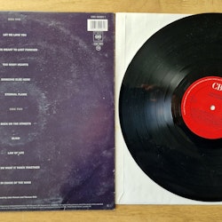 John Norum, Total control. Vinyl LP