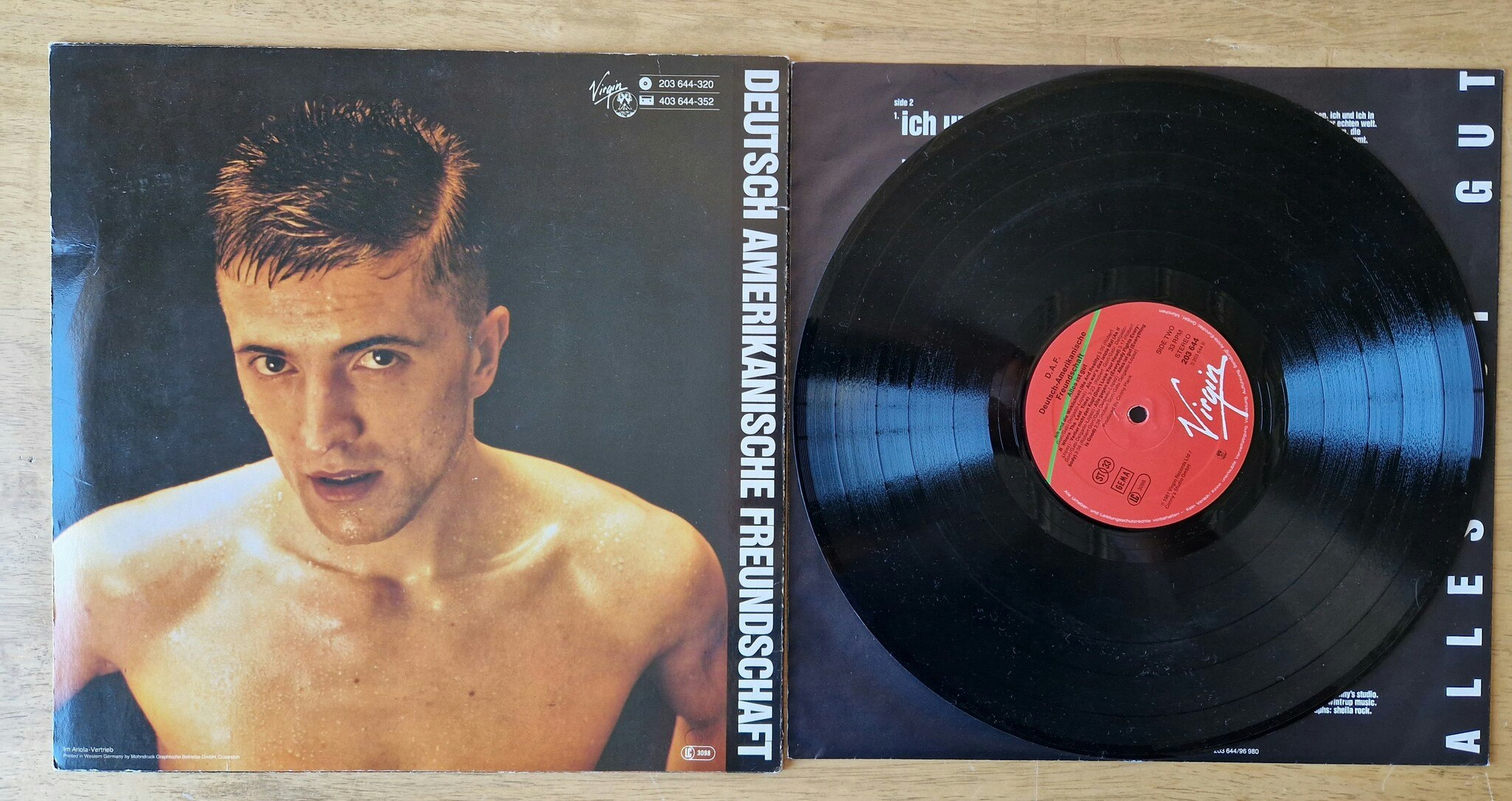 Deutsch Amerikanische Freundschaft, Alles is gut. Vinyl LP