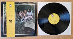 Tokyo Blade, Midnigt Rendezvous. Vinyl S 12"