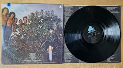 Mr Big, Photographic smile. Vinyl LP