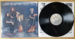 Rock Goddess, Hell hath no fury. Vinyl LP
