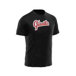 NYHET! Svart T-shirt- Lund