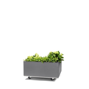 BEDD 60x60 h25 med bunn og hjul/ben