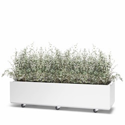 BEDD 120x60 h25 med bunn og hjul/ben