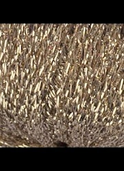 Glittra Gold - 20g / 100m