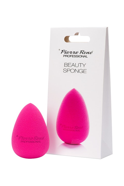 Pierre René Brush Beauty Sponge no 17