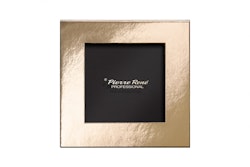 Pierre René PMS Magnetic Palette Gold - 9 pan