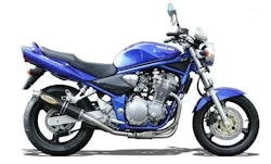 Suzuki GSF 600 Bremsepumpe Bak