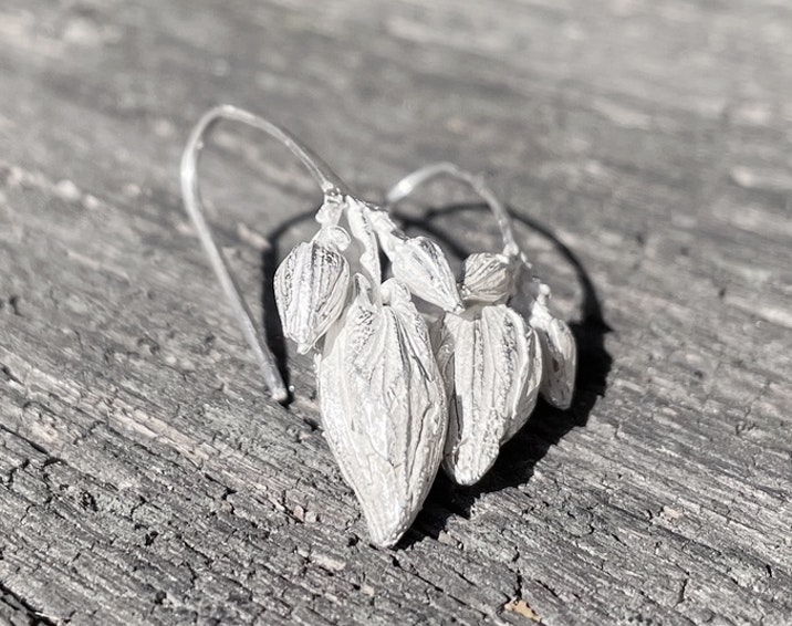 Silverörhängen Blomknopp