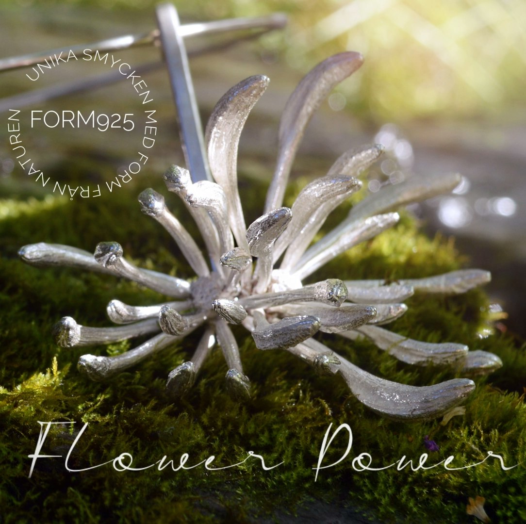 Silverhalsring Stor blomma