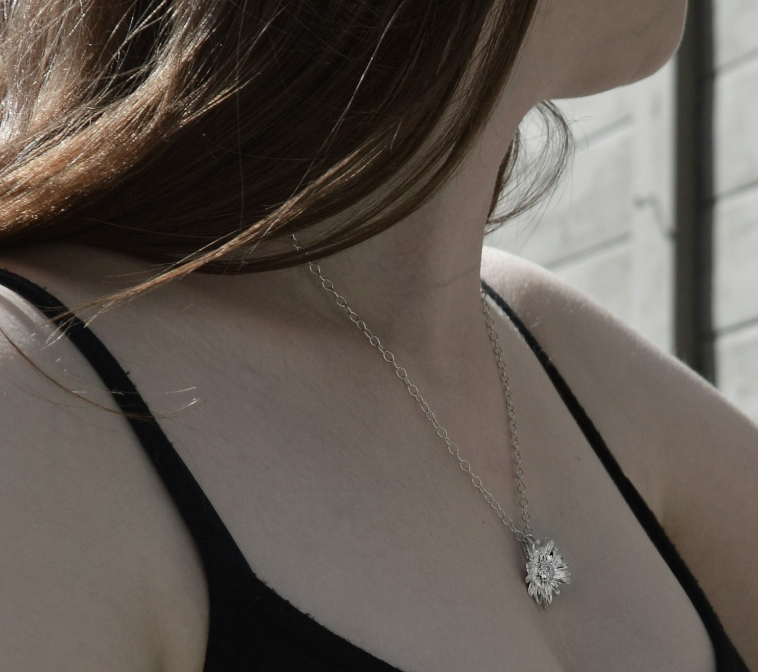 Silverberlock Daisy
