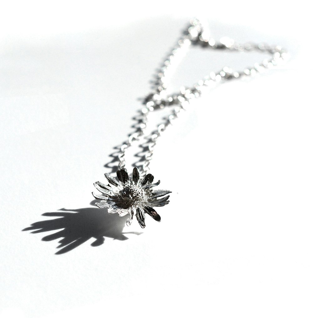 Silverberlock Daisy