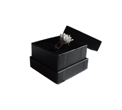 Silverring Flower Power storlek 51