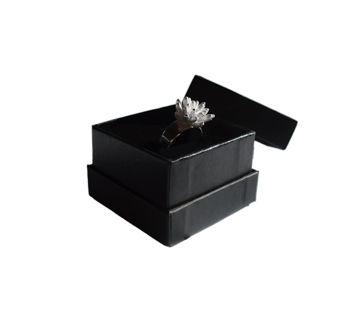 Silverring Flower Power storlek 51