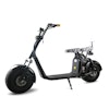 Fatscooter Spaceglider 1500W | 20Ah