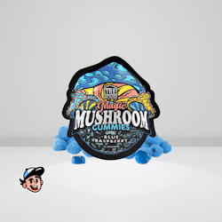 Trehouse Mushroom Gummies Blue Raspberry