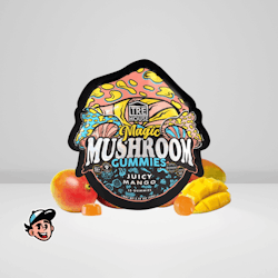 Trehouse Mushroom Gummies Juciy Mango