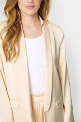 Erri blazer