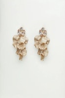 Leaf stone earrings