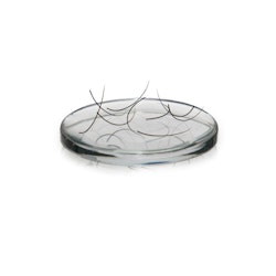 Lash Pad