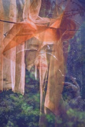 Fragment