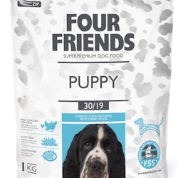 Four Friends Dog Puppy