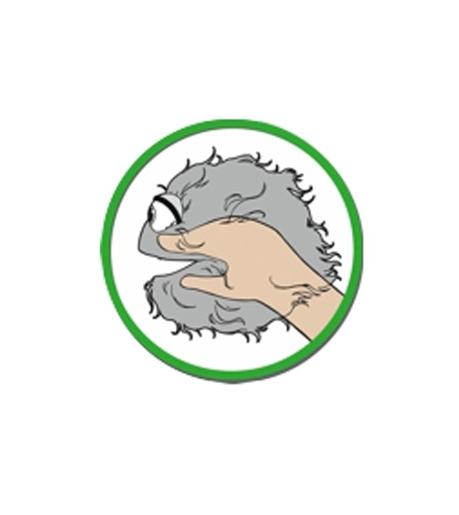 Knasboll