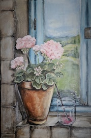 När pelargonen blommar