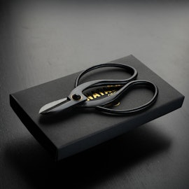 Japanese scissor 10-pack
