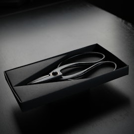 Japanese scissor 10-pack
