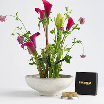 Fleur Fakir "L'anneau" 70 mm - Paquet de 20