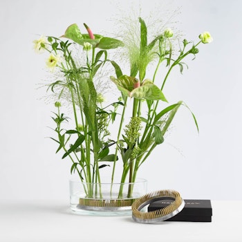 Fleur Fakir "L'anneau" 120 mm - Paquet de 10