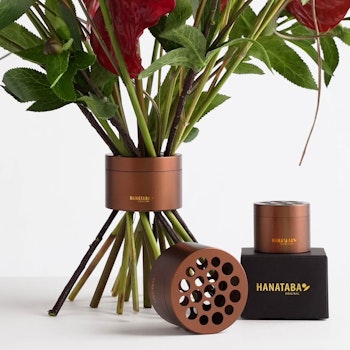 Hanataba Muddy Brown - Paquet de 20