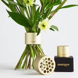Hanataba Champagne Gold - 20 pack